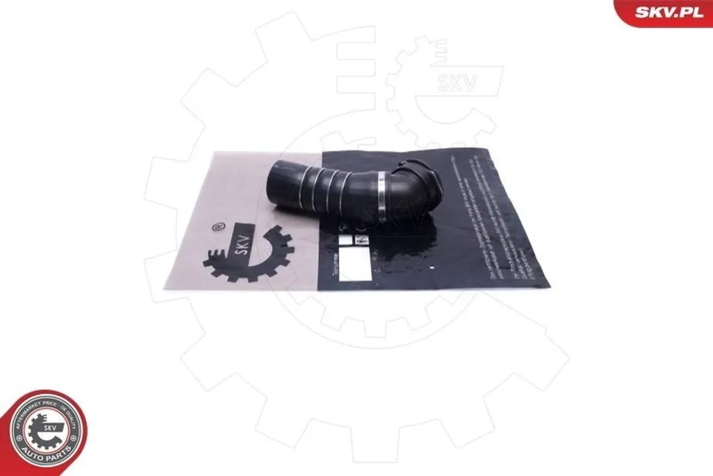 Tuyau d'air de suralimentation Turbo ESEN SKV 24SKV893 pour BMW X5 X6
