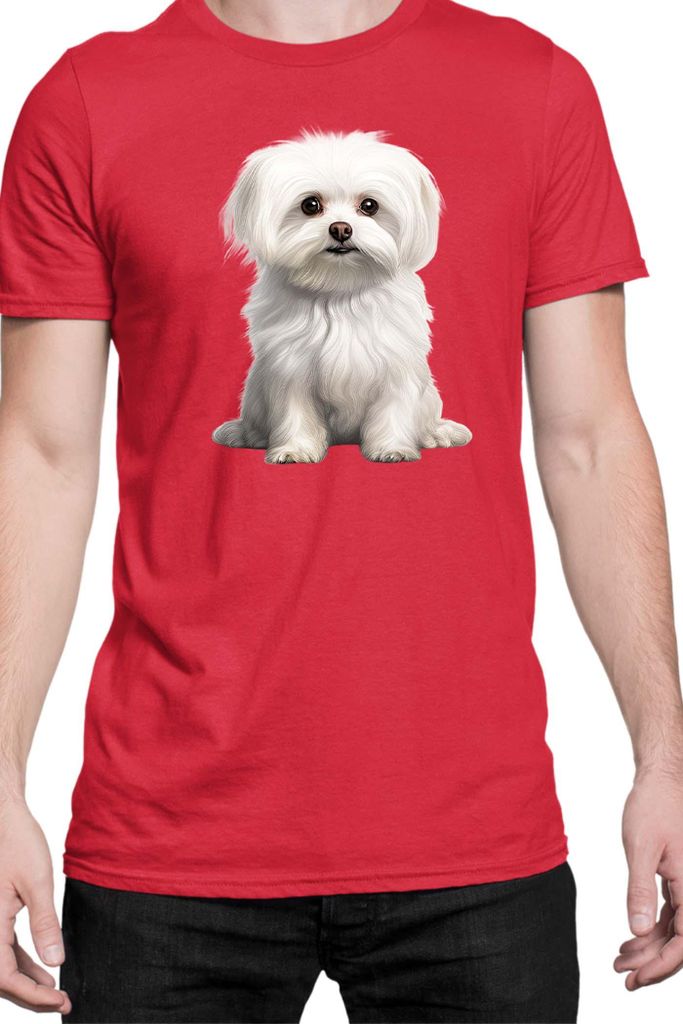 Herren T-Shirt Dogs Breeds Maltese Dog Breed 006, Man L / Rot
