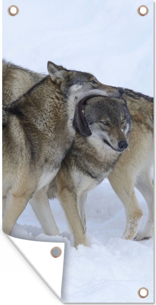 MuchoWow 40x80 cm Outdoor-Poster Gartendeko Sichtschutz Garten Poster für den Garten Wolf - Europa - Schnee