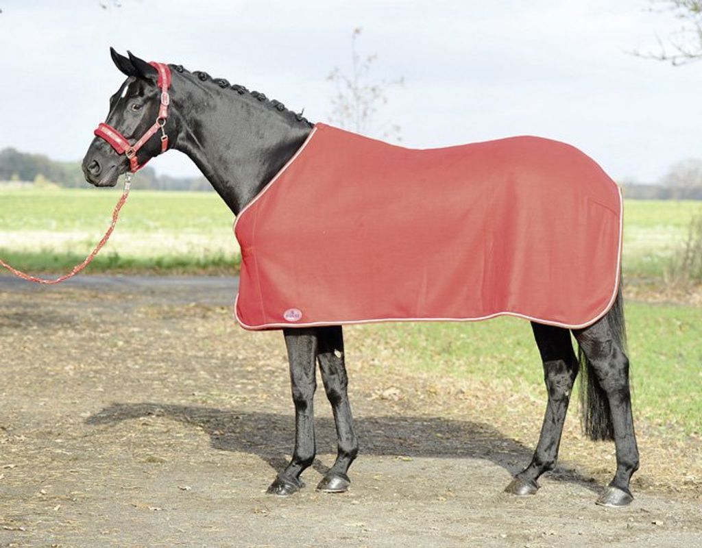 Busse Abschwitzdecke Show - rot/silber