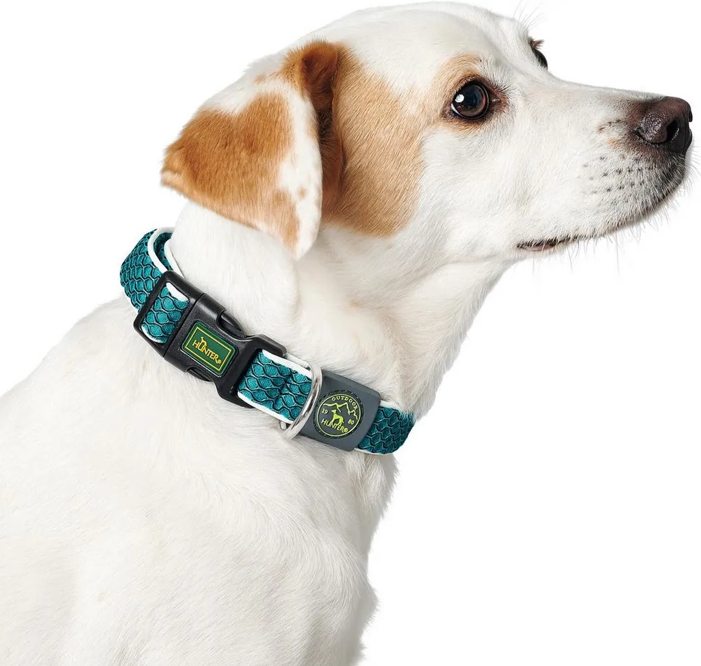 Hunter Vario Basic Wire Brown S: Il Collare per Cani che Dura una Vita