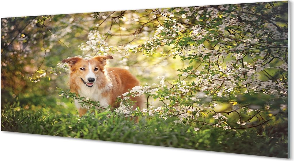 Glasbilder 125x50 Wandkunst Hund Waldblumen