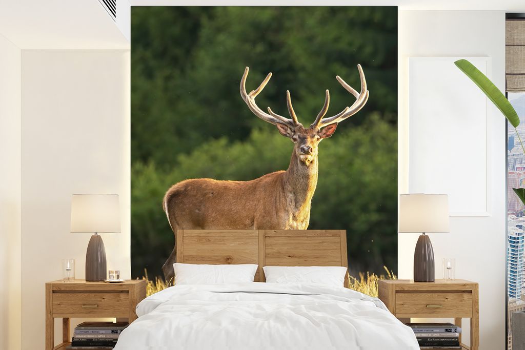 MuchoWow Fototapete für Wohnzimmer oder Schlafzimmer Wandtapete Vinyl Motivtapete Hirsch - Geweih - Gras - Natur - Tiere - Grün - 205x280 cm - ...