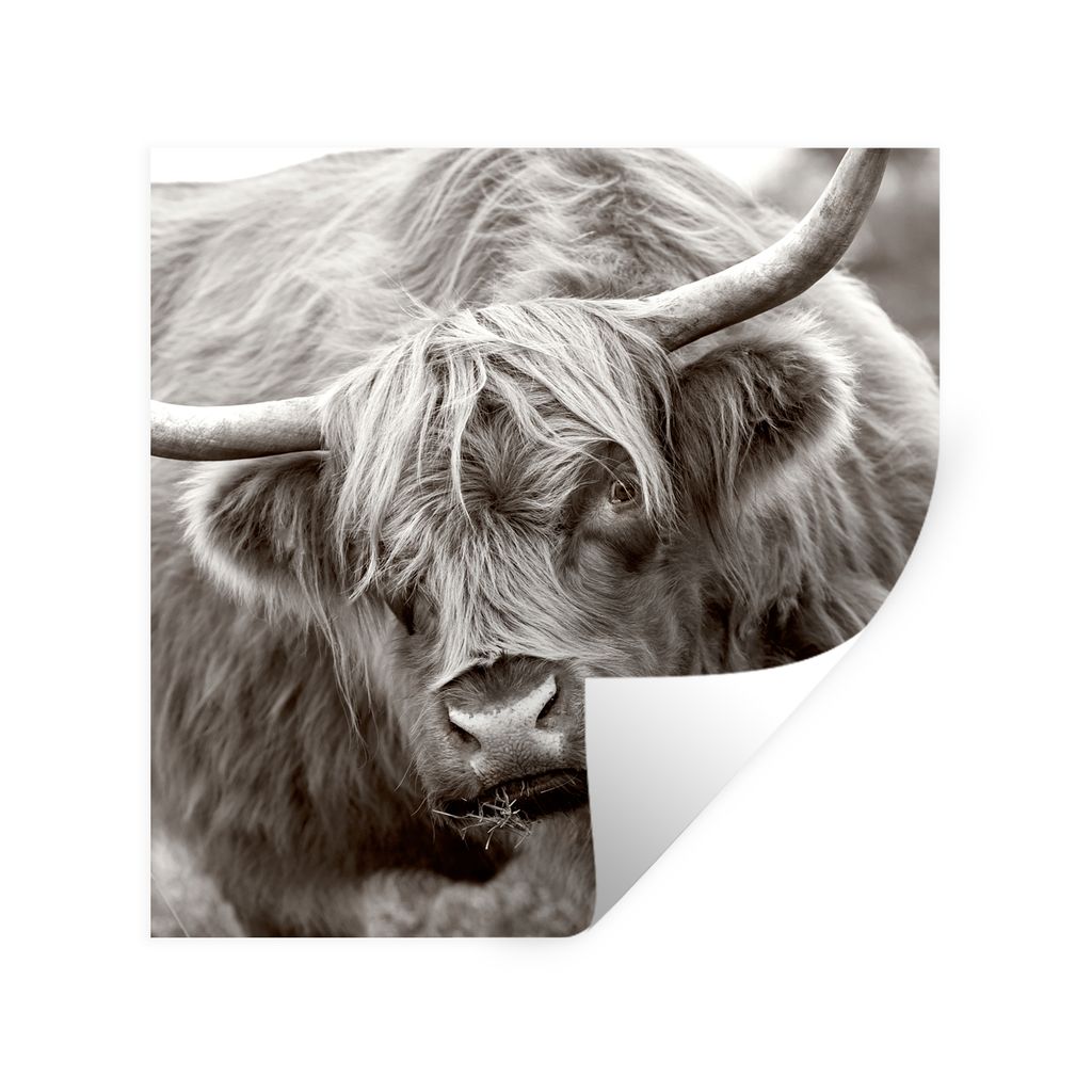 MuchoWow Wandtattoo Wandsticker Wandaufkleber Schottischer Highlander - Schwarz - Weiß - Hörner 30x30 cm Selbstklebend und Repositionierbar - R...