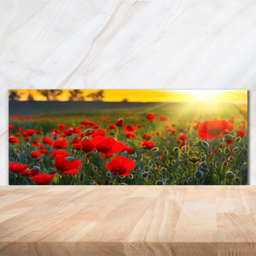 Tulup Küchenrückwand Spritzschutz aus Glas -125x50 -Spritzschutz auf gehärtetes Glas Deko Landschaften Mohnfeld