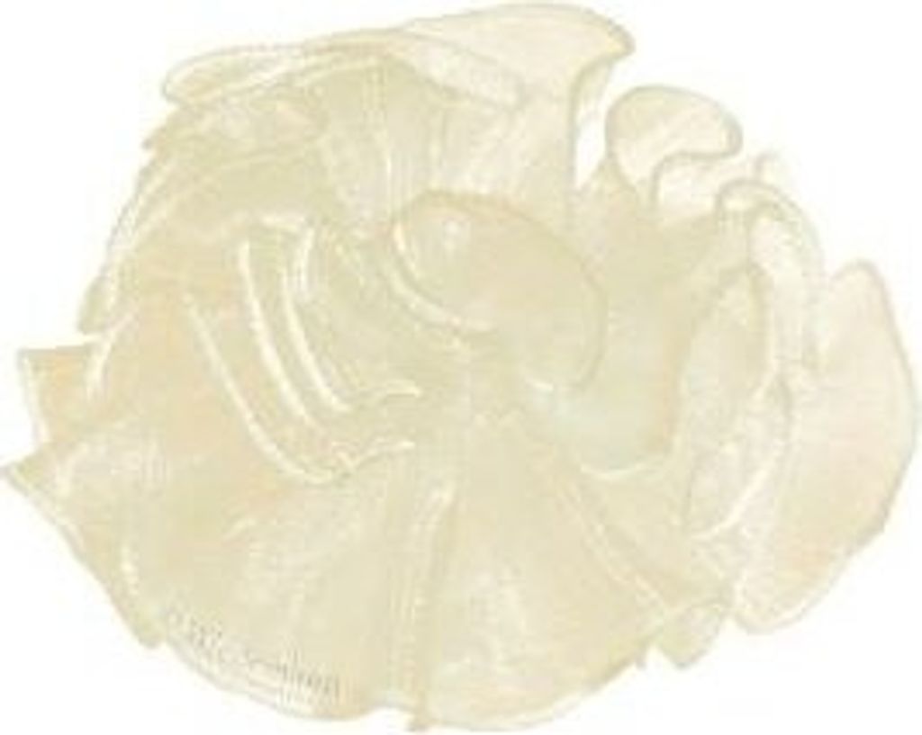 Kerzen Tropfenfänger aus Organza (Band) Creme für Kerzen Produktbild 