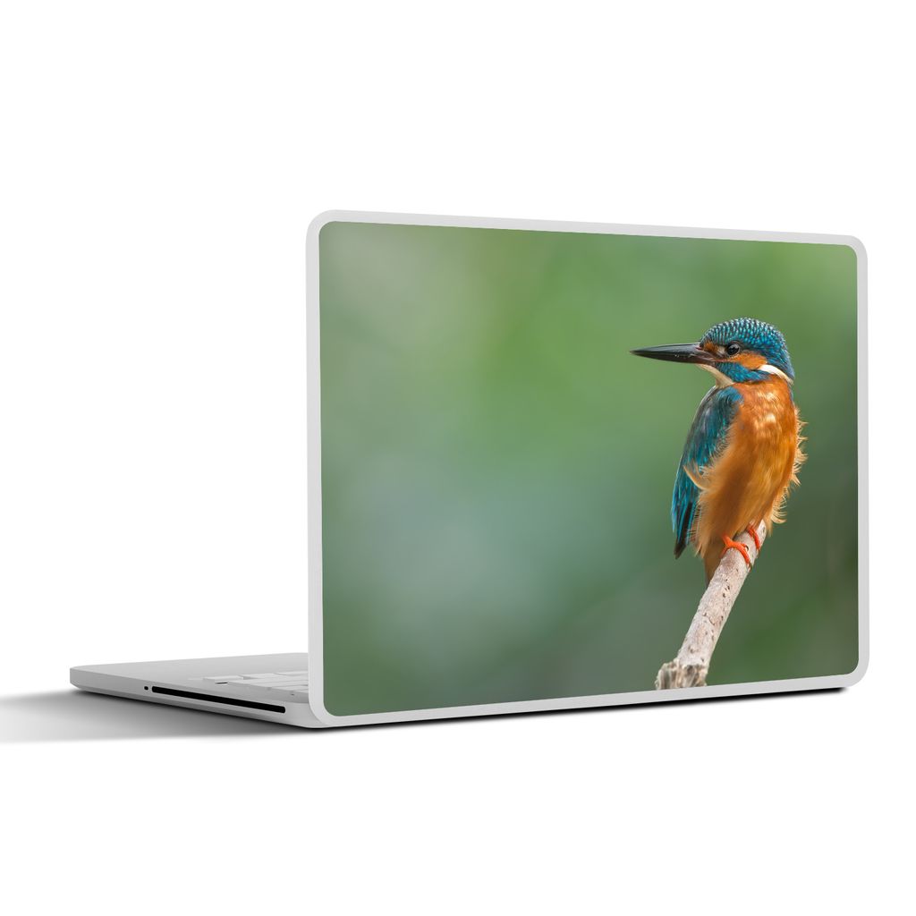 MuchoWow Laptop Aufkleber Sticker Cover Eisvogel - Äste - Beute 25x18 cm - Laptop-Deko