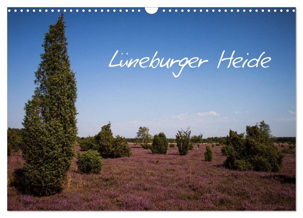 Lüneburger Heide (Wandkalender 2027 DIN A3 quer), CALVENDO Monatskalender