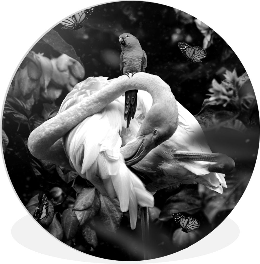 MuchoWow Rundes Wandbild - Runde Bilder Flamingo - Schmetterlinge - Dschungel - Schwarz - Weiß Ø 30 cm Kreis Wanddekoration Kunststoff - Wandkr...