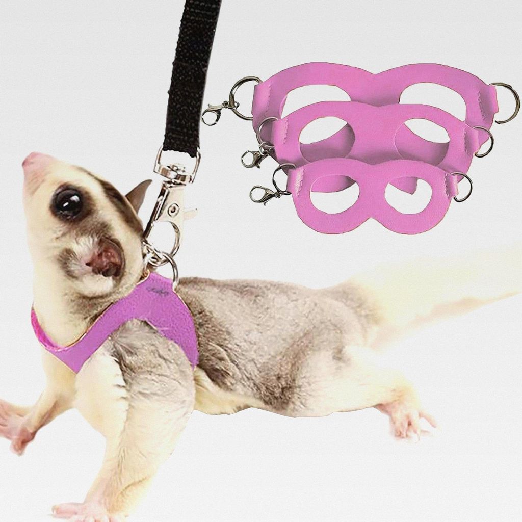 Zuckergleiter-Geschirr und Leine, Set für Kleintier-Training, Spaziergänge, Weste für Eichhörnchen, Hamster, Ratten, Rosa, 3 Stück