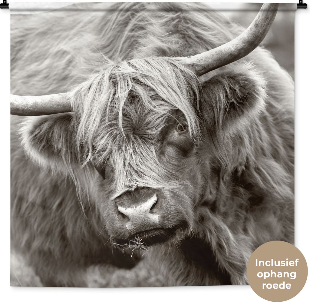 MuchoWow® Wandteppich Wandbehang Schottisches Hochlandrind Produktbild 