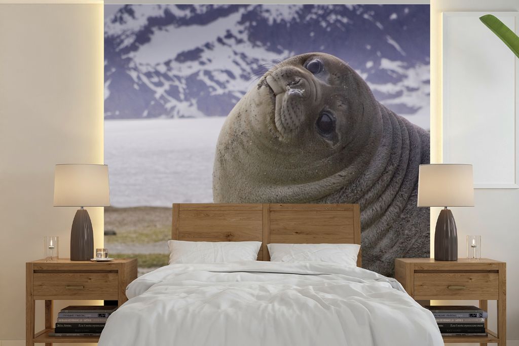 MuchoWow Fototapete für Wohnzimmer oder Schlafzimmer Wandtapete Vinyl Motivtapete Robben - Lustig - Kinder - Jungen - Mädchen - Kinder - 300x30...