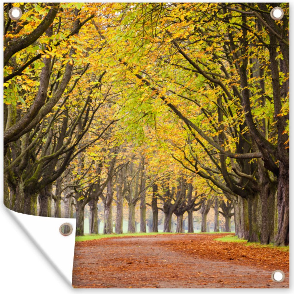 MuchoWow 100x100 cm Outdoor-Poster Gartendeko Sichtschutz Garten Poster für den Garten Kastanienbäume im Herbst