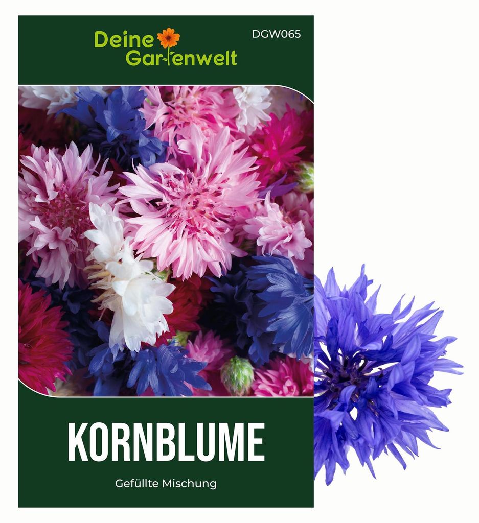 Kornblume Gefüllte Mischung Samen - Centaurea cyanus - Produktbild 