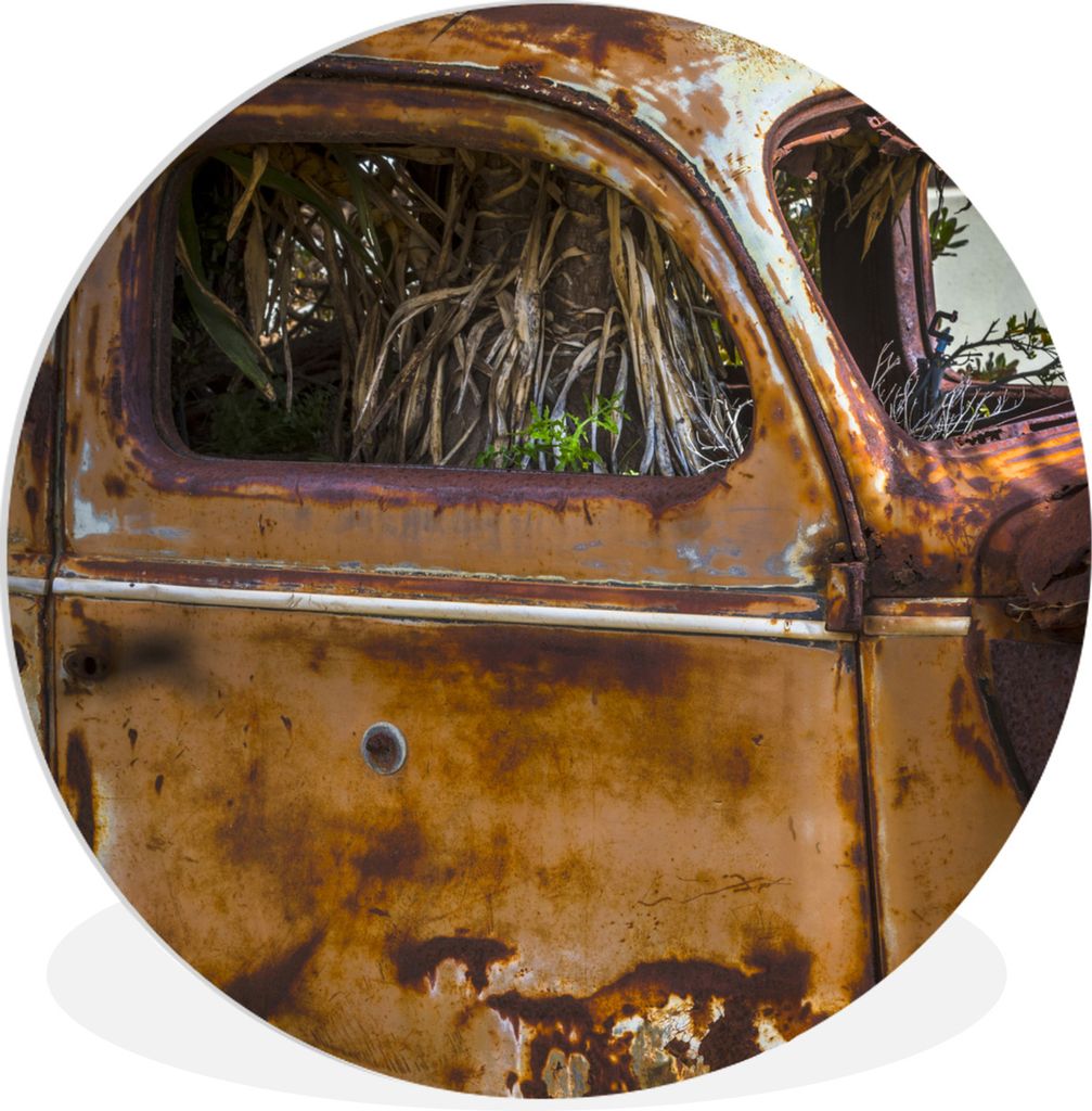MuchoWow Rundes Wandbild - Runde Bilder Auto - Rost - Gras - Pflanzen Ø 30 cm Kreis Wanddekoration Kunststoff - Wandkreis - Wandschmuck - Schlaf...