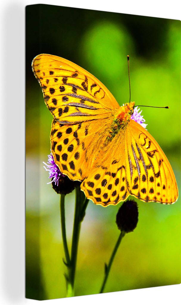 OneMillionCanvasses - Leinwandbilder - 90x140 cm, Schmetterling - Tiger - Blume, Wandbilder Kunstdruck Wanddekoration - Foto auf Leinwand - Gemä...