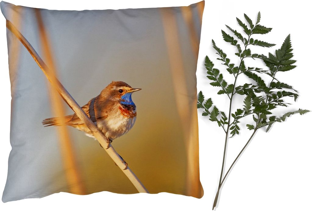 MuchoWow Zierkissen Sofakissen Wohnzimmer Dekokissen 45x45 cm Vögel - Blaukehlchen - Schilf - Schlafpolster - Polster für das Sofa