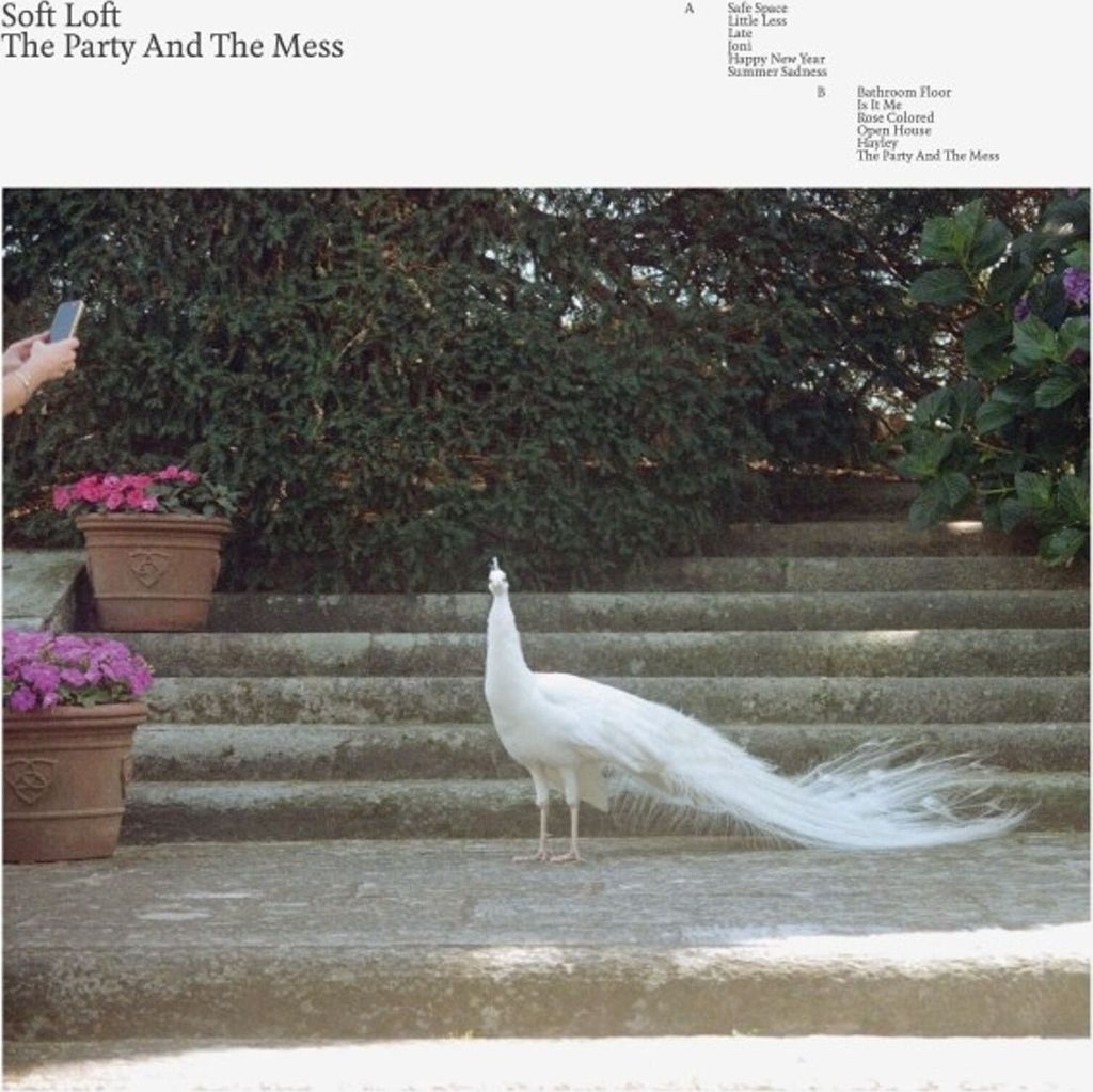 Soft Loft: The Party And The Mess (Limited Edition) (Colored Eco Vinyl)