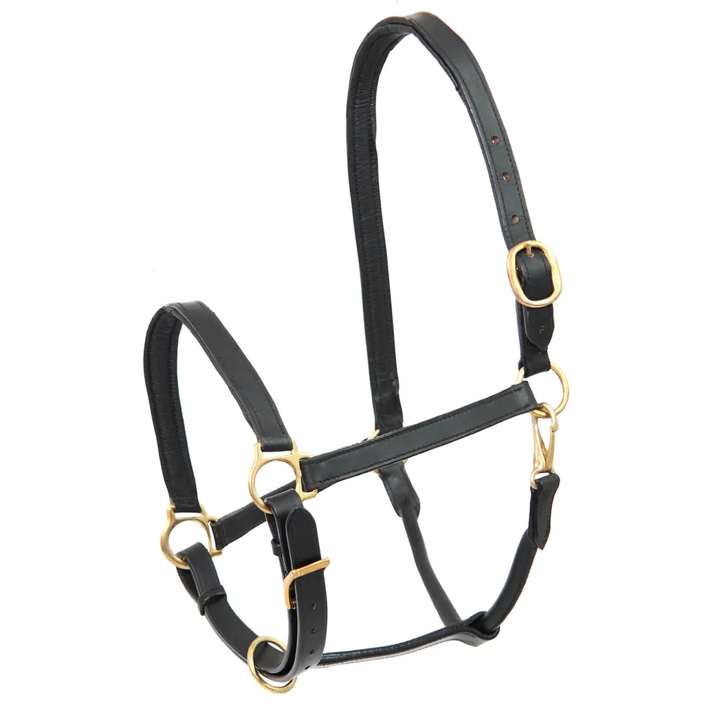STAR Holster en cuir robuste noir VB - Étui de ceinture haute qualité