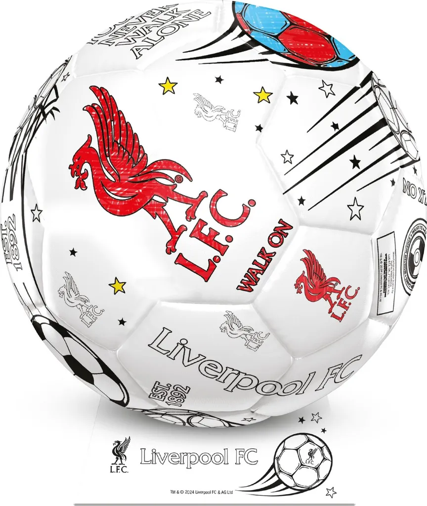 Kit de peinture Liverpool FC complet - Peinture foot enfant haute qualité