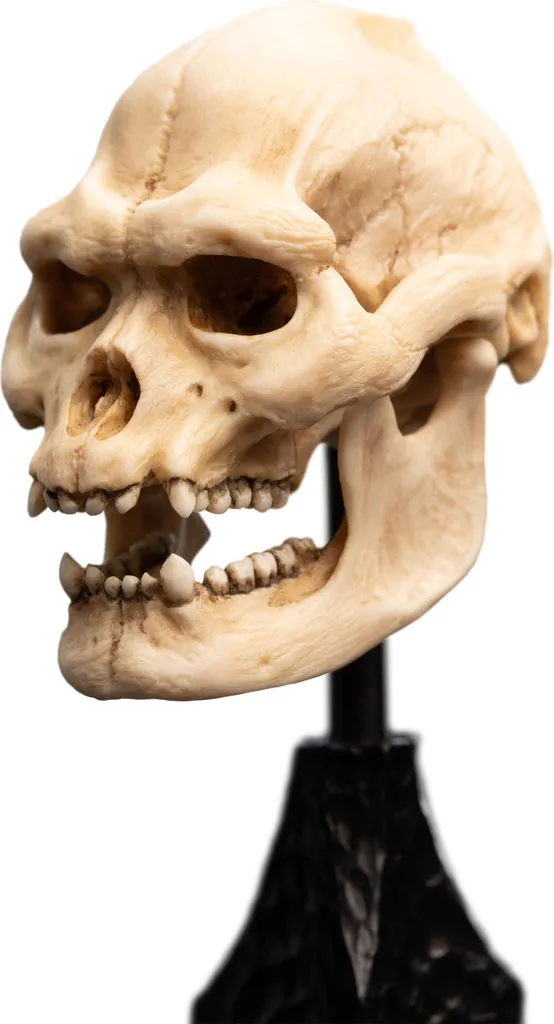 Figurine de Lurtz Weta Workshop 14 cm avec Détails Sculptés Main