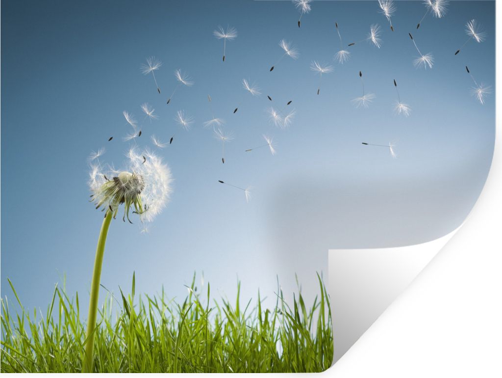 MuchoWow - Faltenfrei