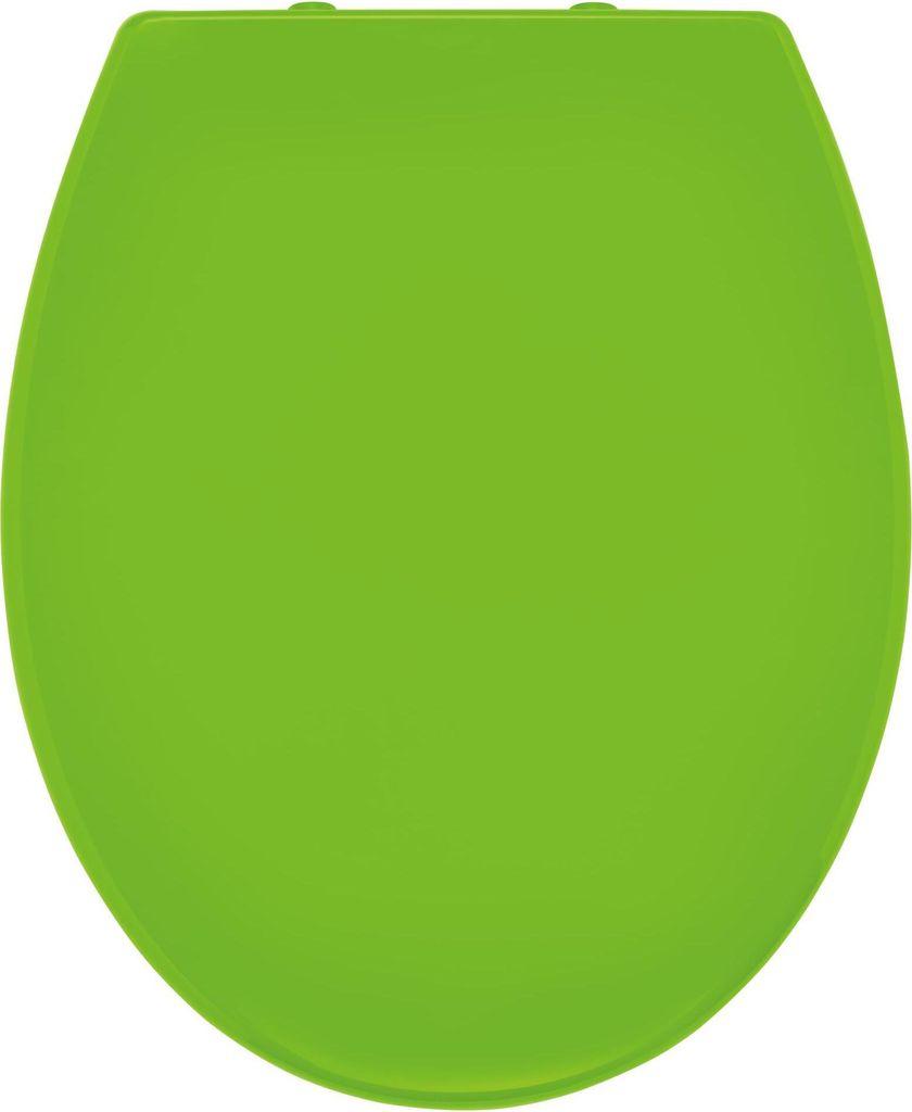 Ridder WC-Sitz Miami mit Soft-Close  grün 02101175 Produktbild 