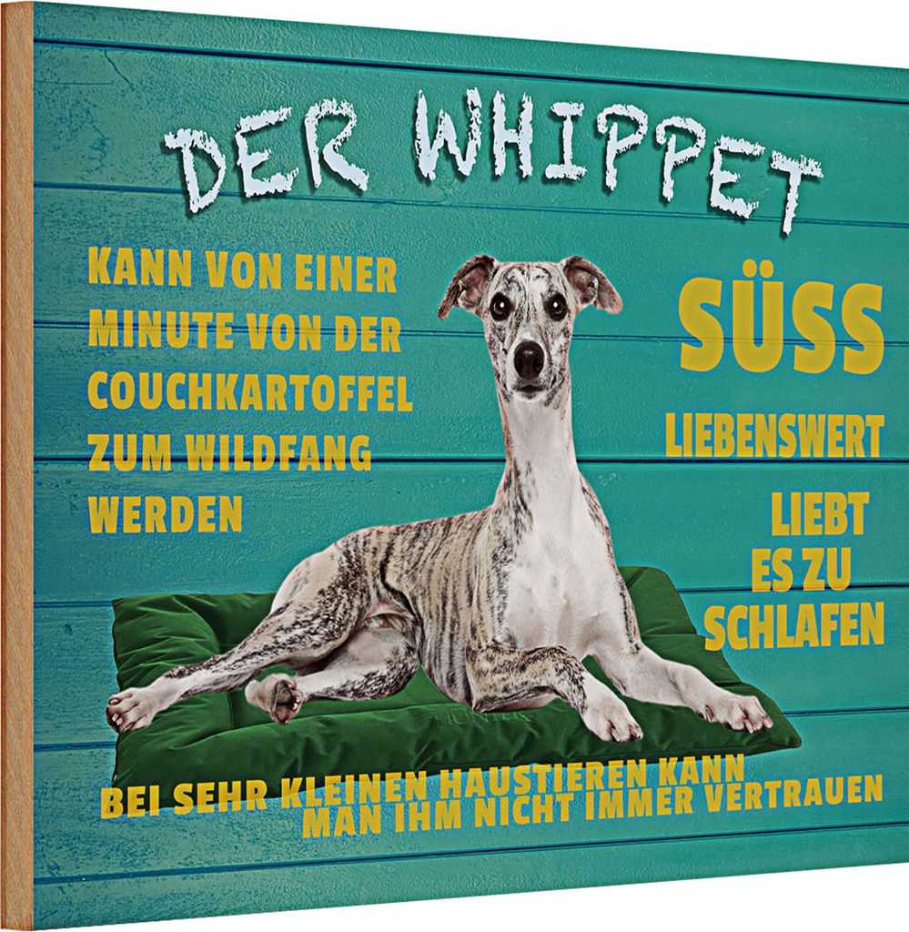 Holzschild Spruch 30x20cm der Whippet Hund süss lebenswert