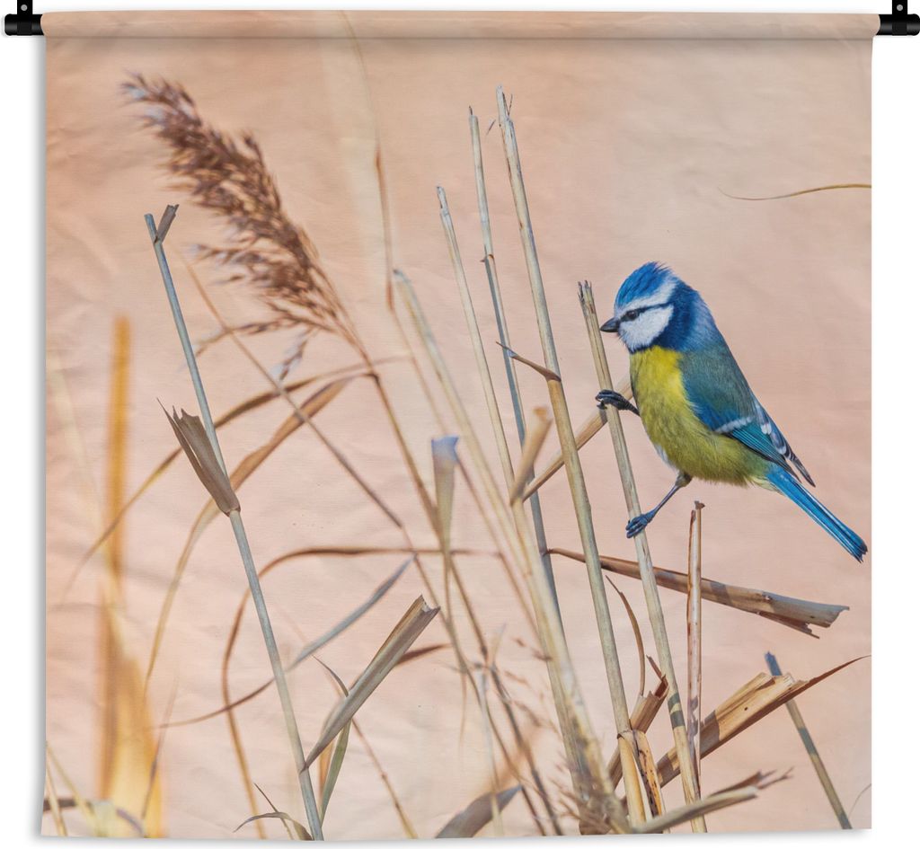 MuchoWow Wandteppich Wandbehang Vogel - Blaumeise - Schilf 150x150 cm Tapisserie Dekoration Wandtuch - Wohnaccessoires - Modernes