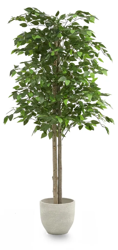 Ficus Artificiel Réaliste 150 cm - Plante en Plastique Haute Qualité
