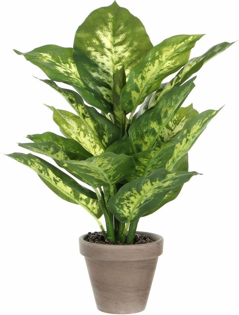 Mica Decorations Dieffenbachia pianta artificiale in vaso Immagine del prodotto 
