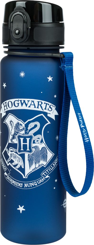 Borraccia in Tritan Harry Potter Hogwarts Immagine del prodotto 