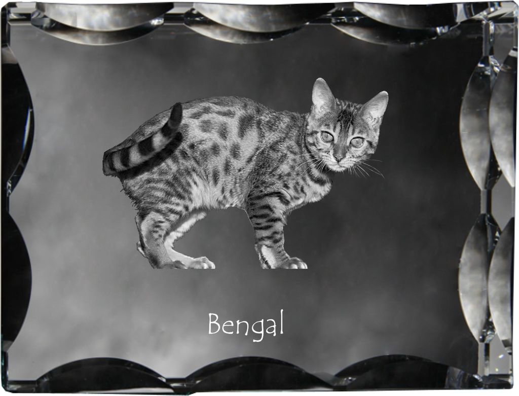 Bengalisch - Kristall mit Katzenbild, Glasstatuette mit Bild, einzigartiger Bilderrahmen der Marke Art-Dog