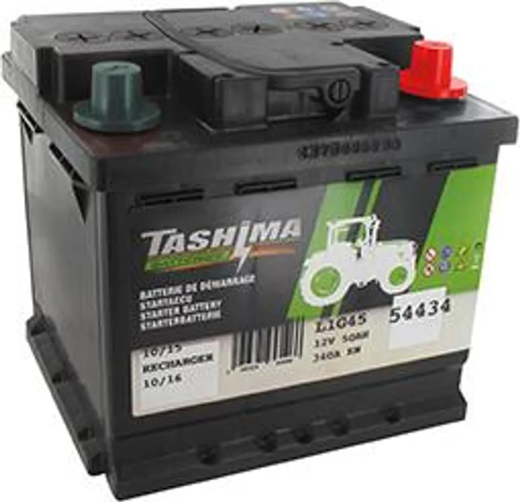 Batterie 12V 50Ah pour Citadine Tashima Borne Positive Droite 208mm