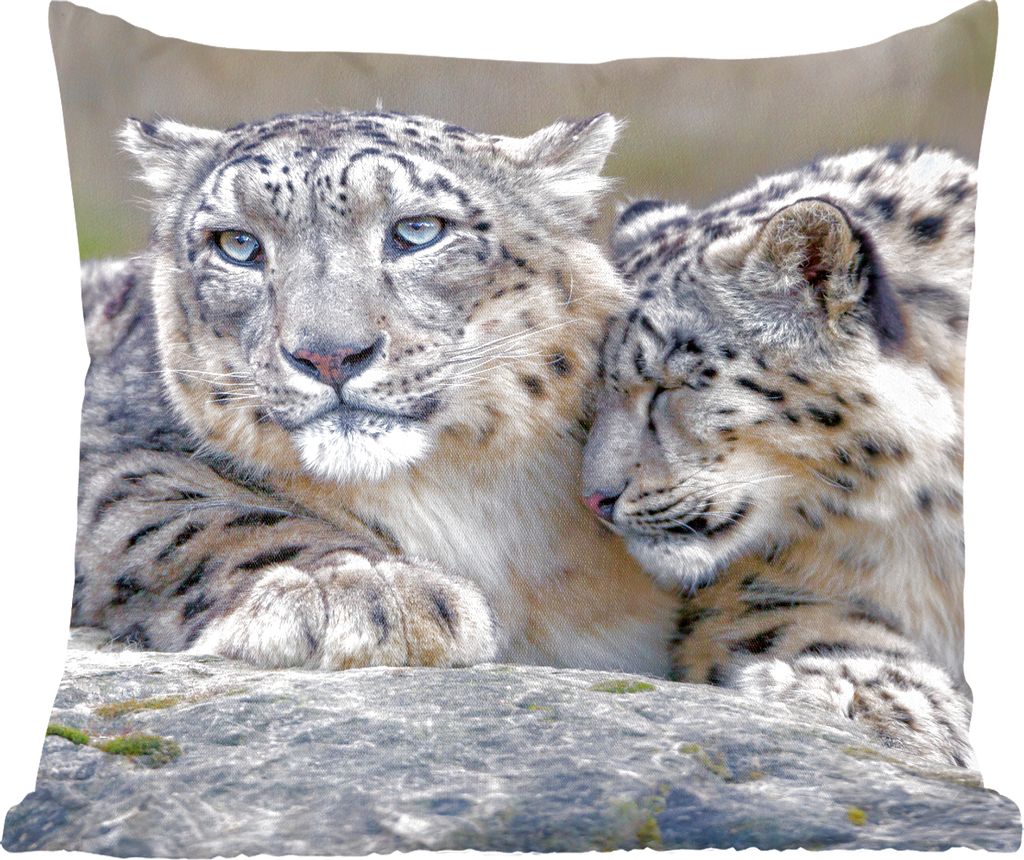 MuchoWow Zierkissen Sofakissen Wohnzimmer Dekokissen 60x60 cm Schneeleopard - Steine - Porträt - Sitzfläche - Foto Polster