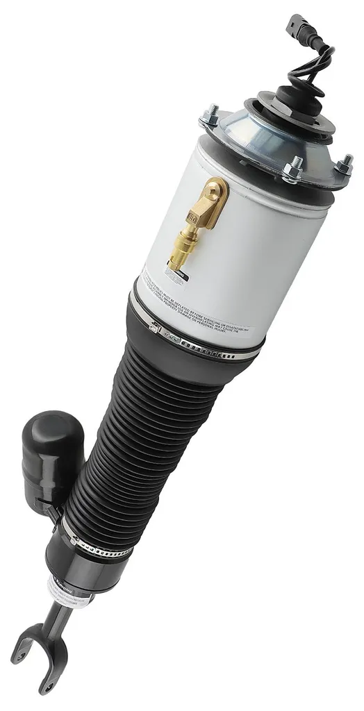 Réparation Suspension Pneumatique : Jambe de Force 32cm Réglable 2MPa - 2
