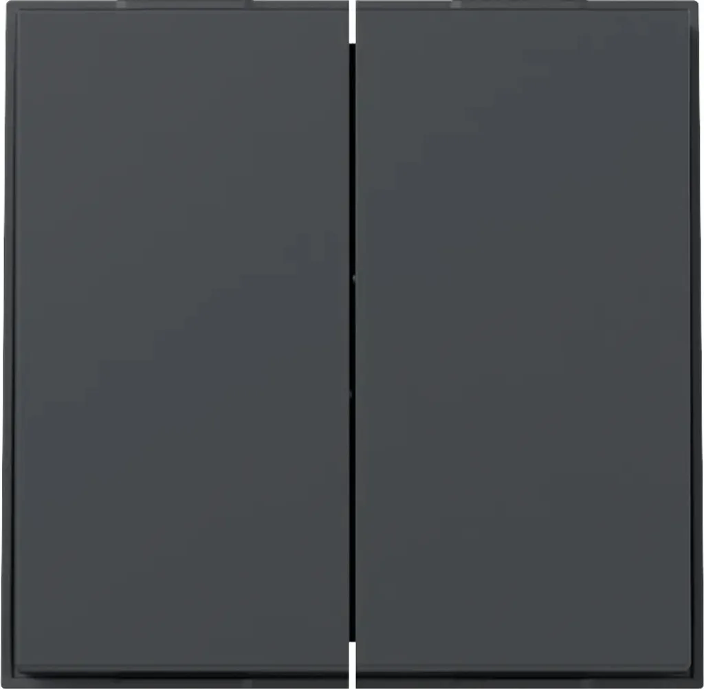 GIRA Wippe 349567 Enjoliveur Double Droit TX44 Anthracite pour Interrupteur