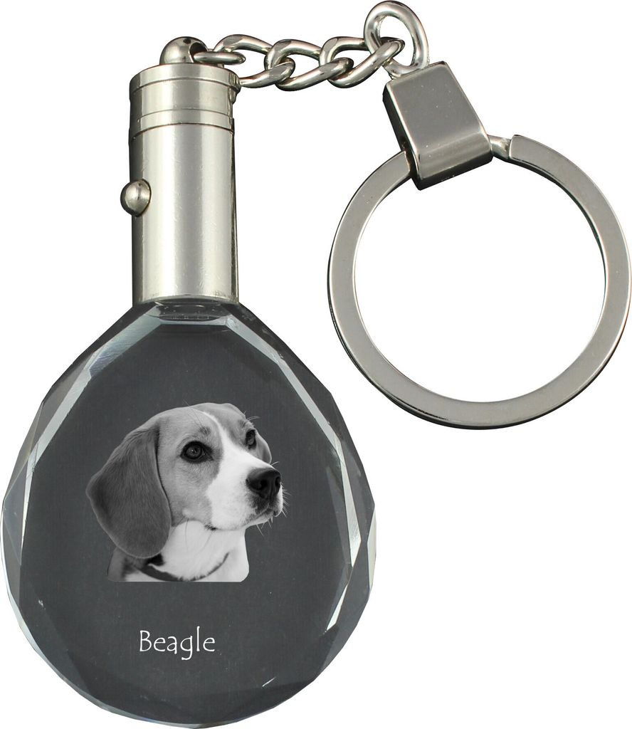 Beagle - Anhänger mit einem Foto eines Hundes, Schlüsselanhänger aus Kristall in einer Geschenkbox, ein einzigartiges Geschenk von Art-Dog