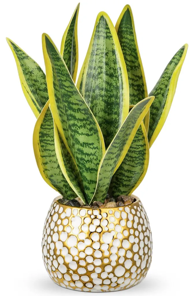 Décoration bureau et salle de bain : Plante Sansevieria pot doré 31 cm