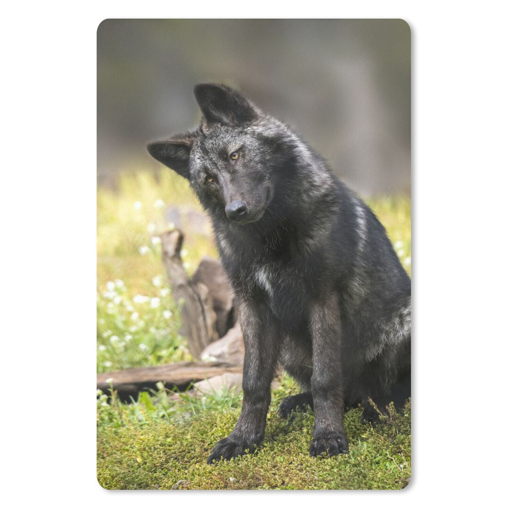MuchoWow® Mauspad Mousepad Wolf - Schwarz - Gras 18x27 cm - Produktbild 