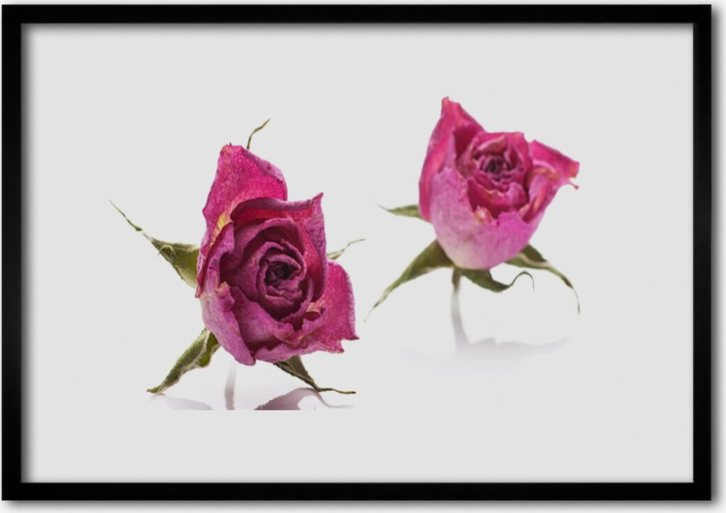 Bild 100x70 MDF-Rahmen Wandkunst Rosen Blumen Pflanzen