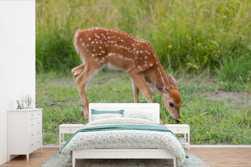 MuchoWow Fototapete für Wohnzimmer oder Schlafzimmer Wandtapete Vinyl Motivtapete Hirsche - Braun - Punkte - 360x240 cm - Vinyl-Tapete