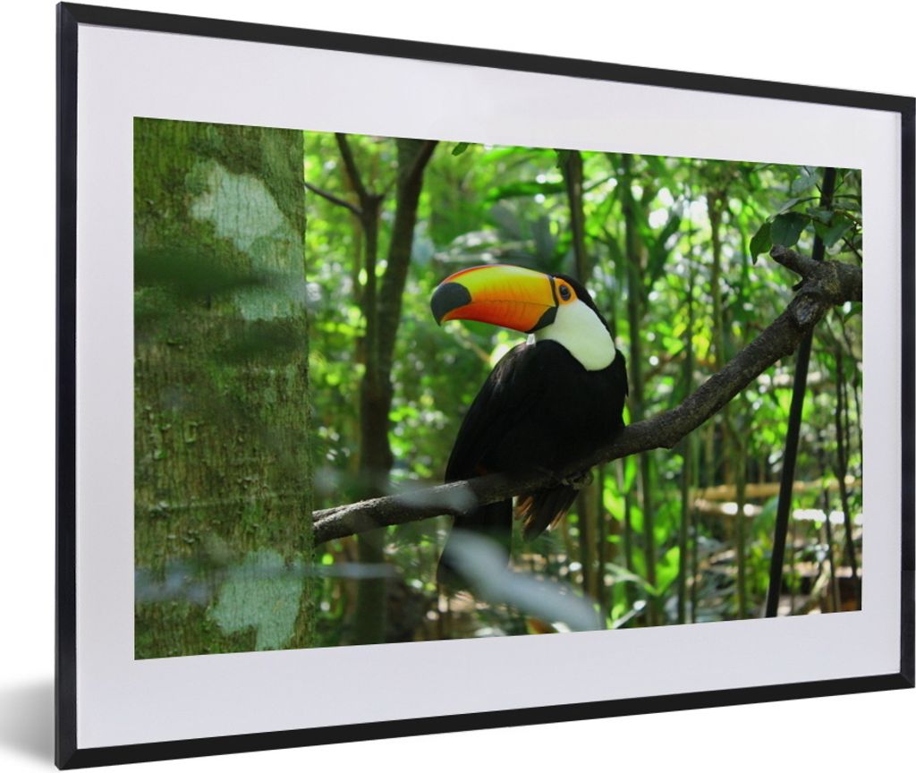 MuchoWow MuchoWow Gerahmtes Poster Tukan im Baum 60x40 cm - Poster mit zchwarzem Bilderrahmen - Schlafzimmer - Plakat in Rahmen - Drucken