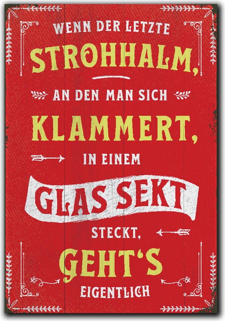 LANOLU Kühlschrankmagnete lustig- Strohhalm Glas Sekt steckt - lustige Magnete mit Sprüchen und witzigen Motiven 8x5,5cm