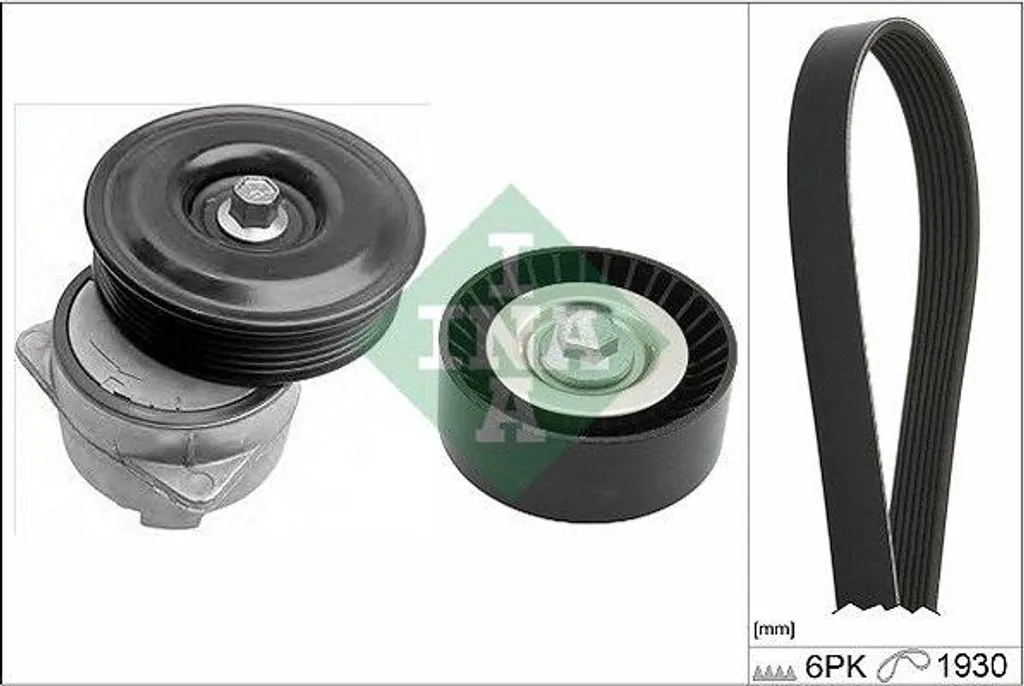 Kit entretien courroie INA 529 0221 10 pour réparation Ford Puma et Fiesta
