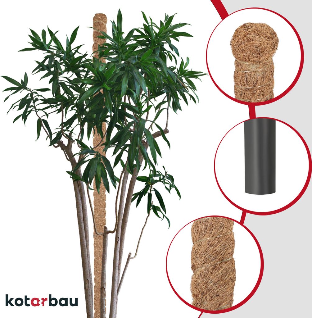 KOTARBAU® Mechová tyč pro Monsteru Kokosová tyč Přírodní ⌀ Obrázek produktu 8