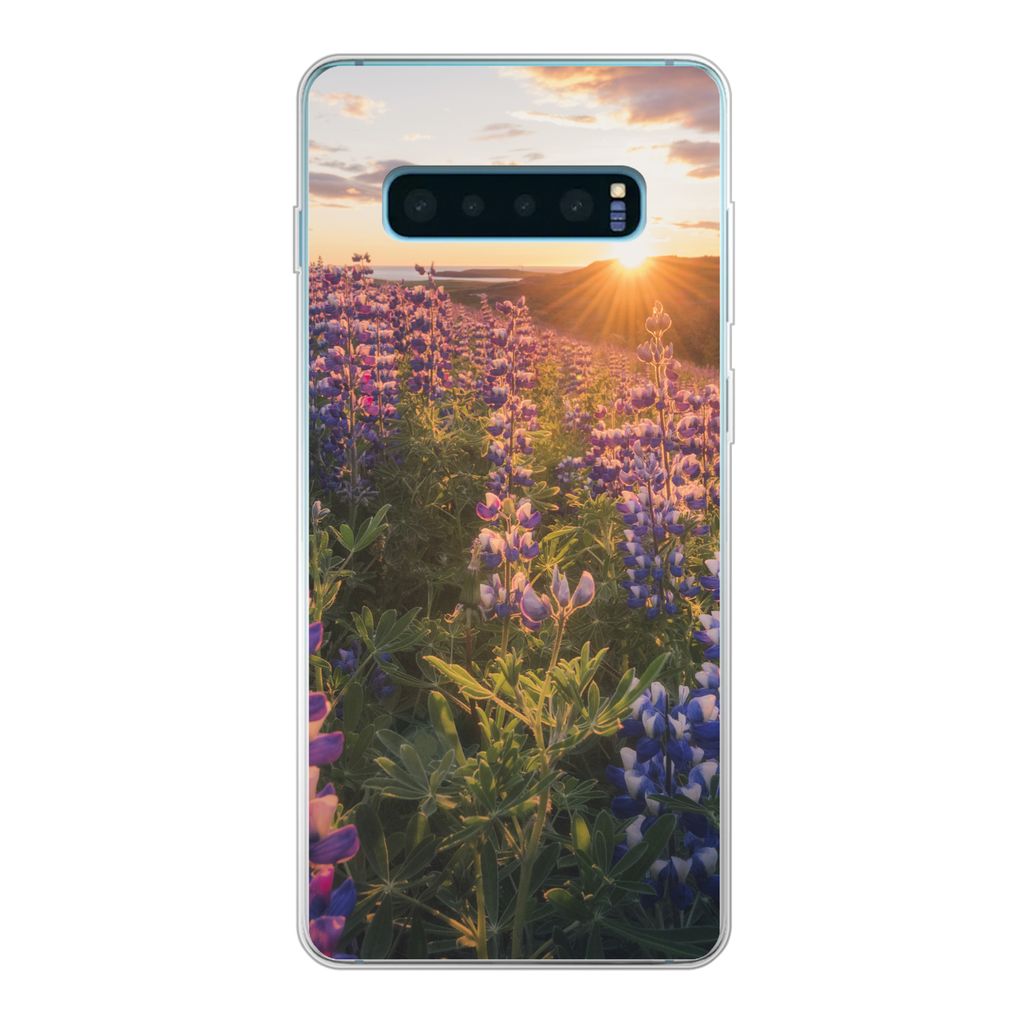 MuchoWow Handyhülle Schutzhülle Hülle für Samsung Galaxy S10 Plus Lupine - Sonne - Lila Silikon Softcase Handy Hülle - Schutzhülle