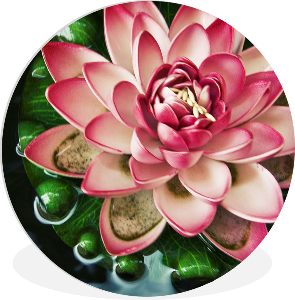 MuchoWow Rundes Wandbild - Runde Bilder Ein Koi-Karpfen mit einer rosa Blume Ø 90 cm Kreis Wanddekoration Kunststoff - Wandkreis - Wandschmuck -...