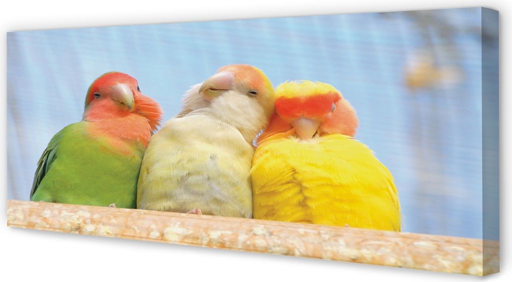 Leinwandbild 125x50 Wandkunst bunter Papagei