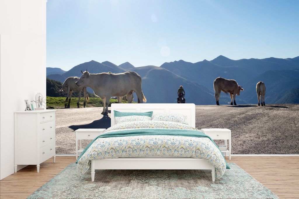MuchoWow Fototapete für Wohnzimmer oder Schlafzimmer Wandtapete Vinyl Motivtapete Schottische Highlander - Licht - Berge - Natur - 400x240 cm - ...